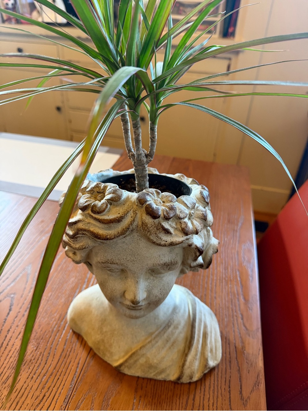 Decorative Bust Planter in Rustic, Weathered Stone - Picture 4 of 7